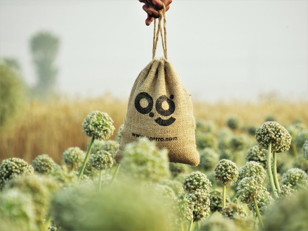 Micronutrients and mental clarity